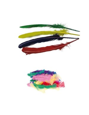 Pte. 5 gr. plumas pequeñas