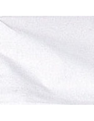 Hoja papel secante 50x70  246 gr. de guarro