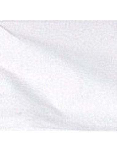 Hoja papel secante 50x70  246 gr. de guarro