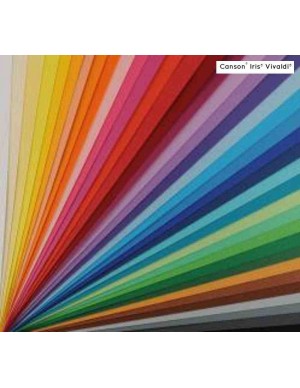 Cartulina 50x65  185 gr. canson iris