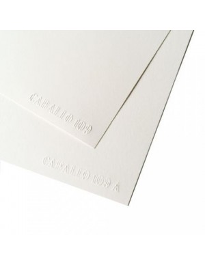 Pte. 5 hojas  papel caballo 50x65  ref. 109