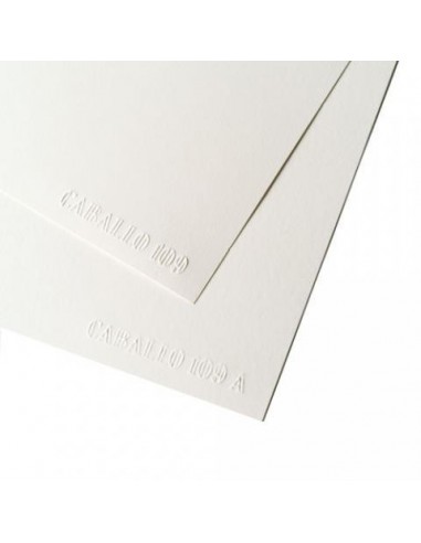 Pte. 5 hojas  papel caballo 50x65  ref. 109A